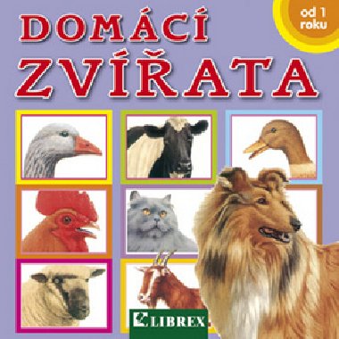 Domc zvata - 