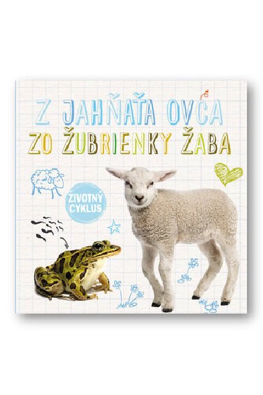 Z jahaa ovca Zo ubrienky aba - Holly Duhig