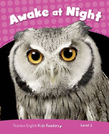 Level 2: Awake at Night CLIL - Miller Laura