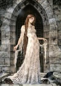 Puzzle heye 1000 dress by victoria francs - 