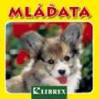 Mlata foto - 