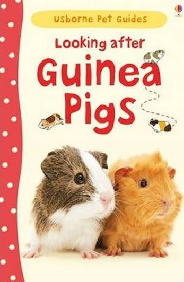 Looking After Guinea Pig - Howell Laura