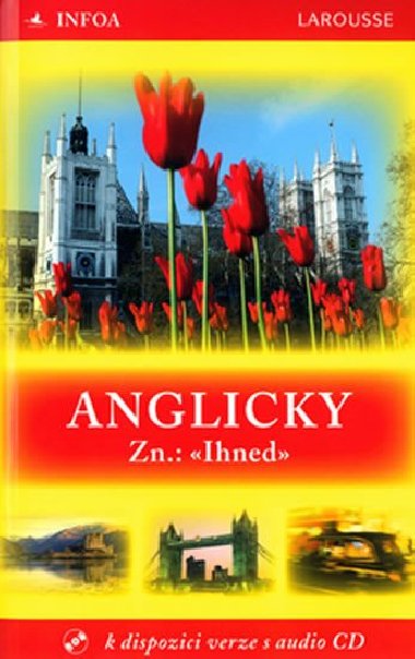 Anglicky zn:ihned - Michel Marcheteau