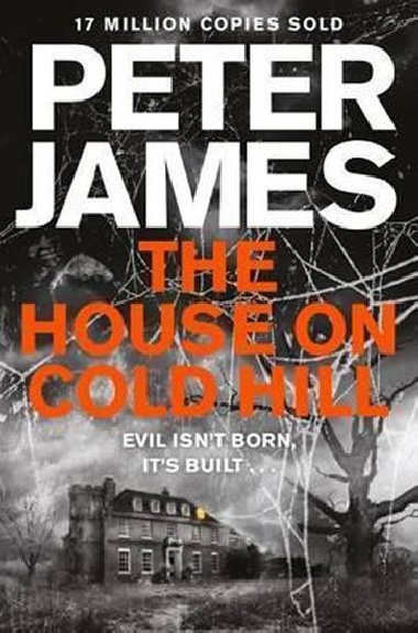 The House on Cold Hill - James Peter