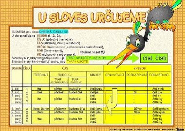U sloves urujeme / Slovn druhy ohebn, neohebn (karta) - Bookretail