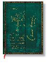 Zpisnk - Darwin, Tree of Life, ultra 180x230 - neuveden