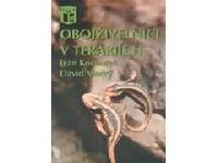 Obojivelnci v terrich - Kocourek - Modr
