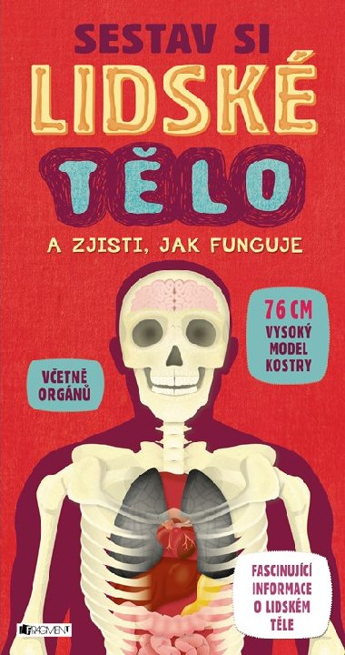 Sestav si lidsk tlo - Fragment