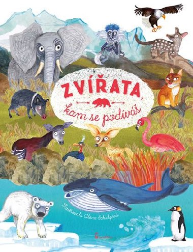 Zvata, kam se podv - Olga Pohl