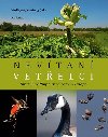 Nevtan vetelci - Wolfgang Nentwig; Jan Pergl