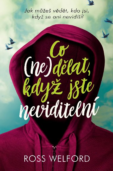 Co nedlat, kdy jste neviditeln - Ross Welford