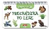 Obr a njdi prechdzka po lese - 