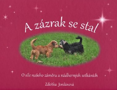 A zzrak se stal - Zdeka Jordnov