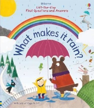 Q and A Why it Rain - Daynes Katie