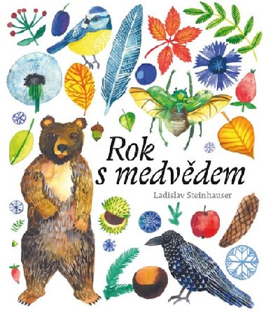 Rok s medvdem - Steinhauser Ladislav