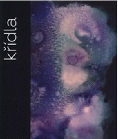 Kdla - Petr Volf
