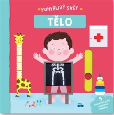 Lidsk tlo - Pohybliv svt - Svojtka