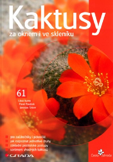 Kaktusy za oknem i ve sklenku - Libor Kunte