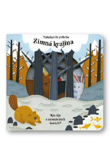 Zimn krajina - 