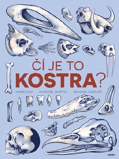  je to kostra? - Cap Henri; Raphal Martin