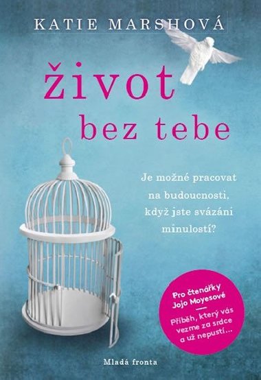ivot bez tebe - Katie Marshov