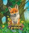 Zvieratk v prrode - 