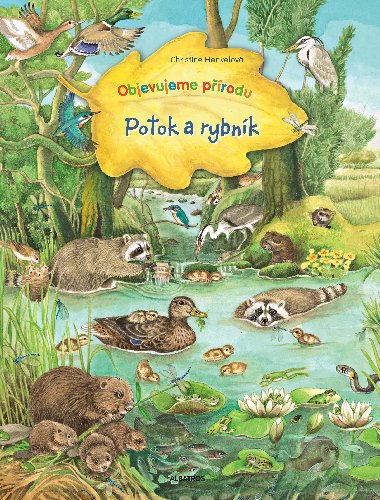 Potok a rybnk - Christine Henkelov