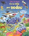 Co se dje pod vodou - Podvej se pod obrzek - Kate Davies; Colin King
