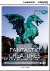 Fantastic creatures - level a1 - Simon Beaver