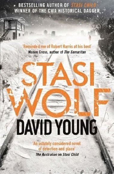 Stasi Wolf - Young David
