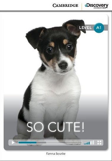 So Cute! Book with Online Access code - Bourke Kenna