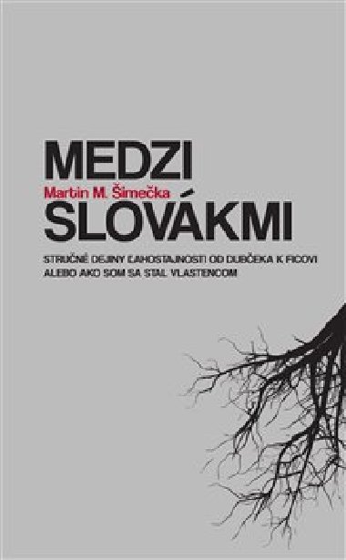 Medzi Slovkmi - Martin M. imeka