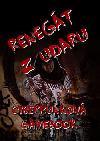 Renegt z udaru - 
