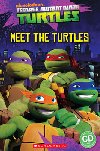 Meet the turtles! - Fiona Davis