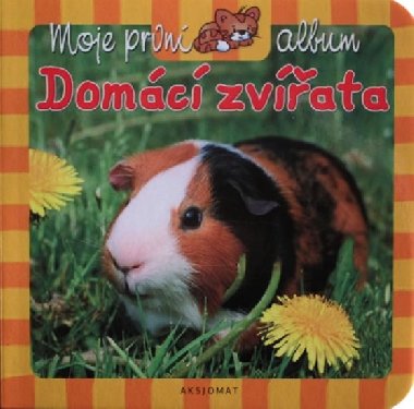 Moje prvn album - Domc zvata - kolektiv autor
