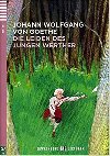 Die leiden des jungen werther - Johan Wolfgang Goethe