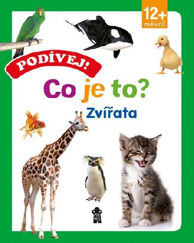 Podvej! Co je to? Zvata - Pikola