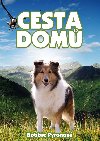 Cesta dom - Bobbie Pyronov