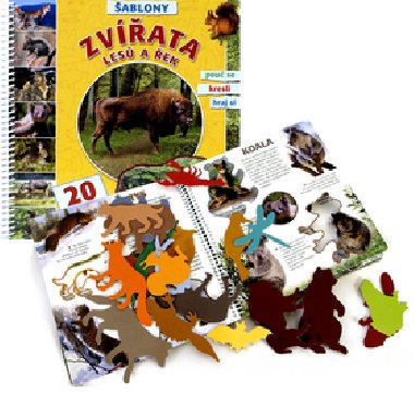 Zvata les a ek - 