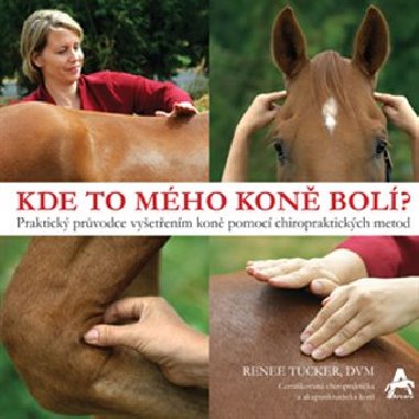 Kde to mho kon bol? - Renee Tucker