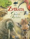 Zvata v otzkch a odpovdch - 