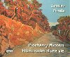 Prochzky ivotem - Jaroslav Pivoda