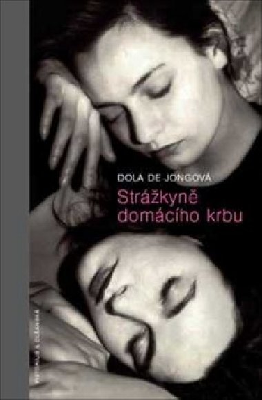 Strkyn domcho krbu - Dola de Jongov