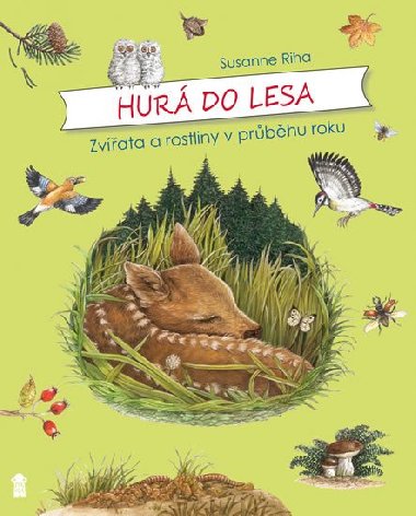 Hur do lesa - Zvata a rostliny v prbhu roku - Susanne Riha