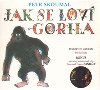 Jak se lov gorila. Psniky ze slabike Pavla ruta - Zuzana Hanzlov; Hana Hork; Ludk tvrtlk; Lubor onka; Pavel rut; Petr Sk...