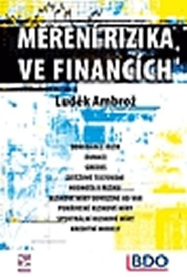 Men rizika ve financch - Ambro Ludk