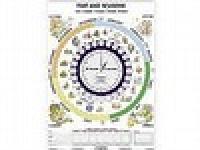 Time and seasons - 