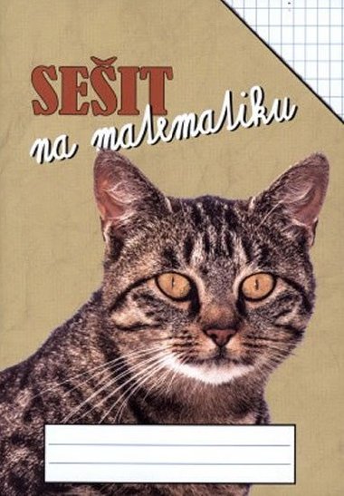 Seit na matematiku - obdlnkov s 5 x 7mm - neuveden