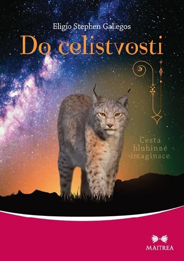 Do celistvosti - Cesta hlubinn imaginace - Eligio Stephen Gallegos