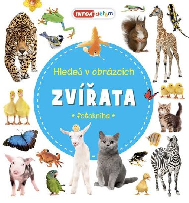 Zvířata - Hledej v obrázcích - Infoa